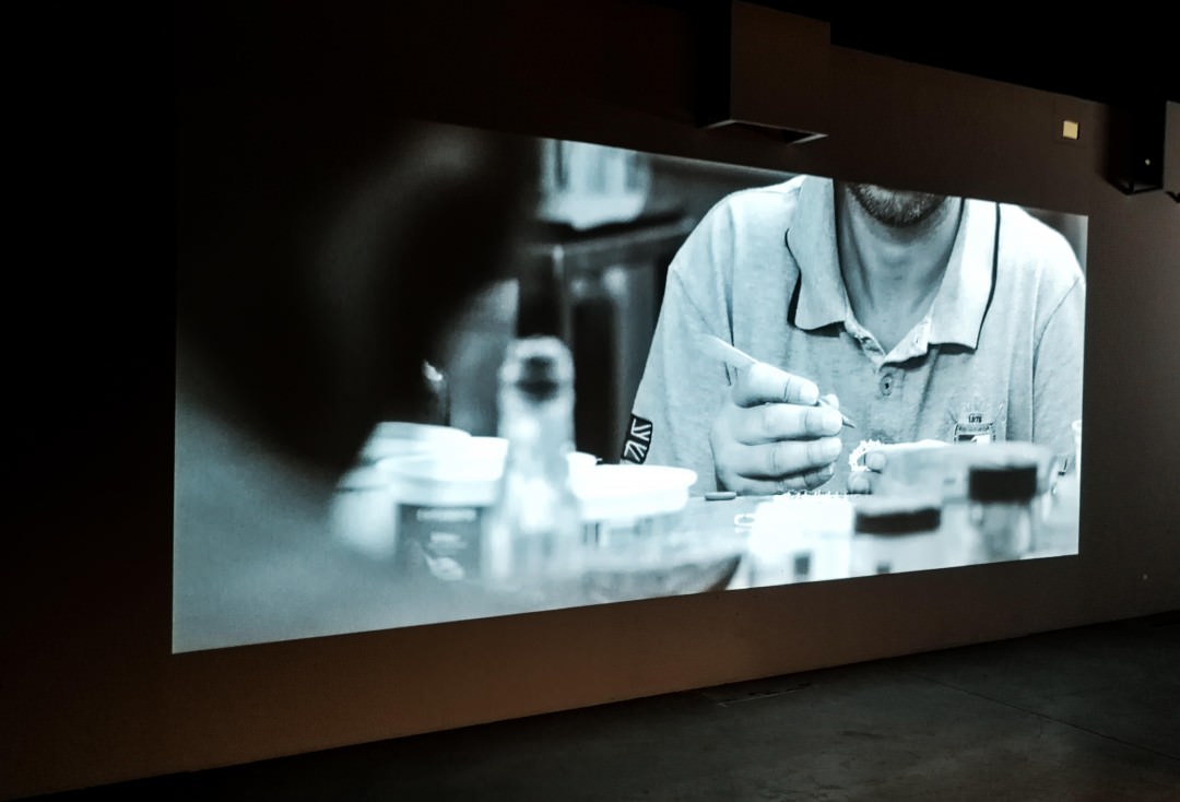 AORP | Shapers Exhibition 4.0