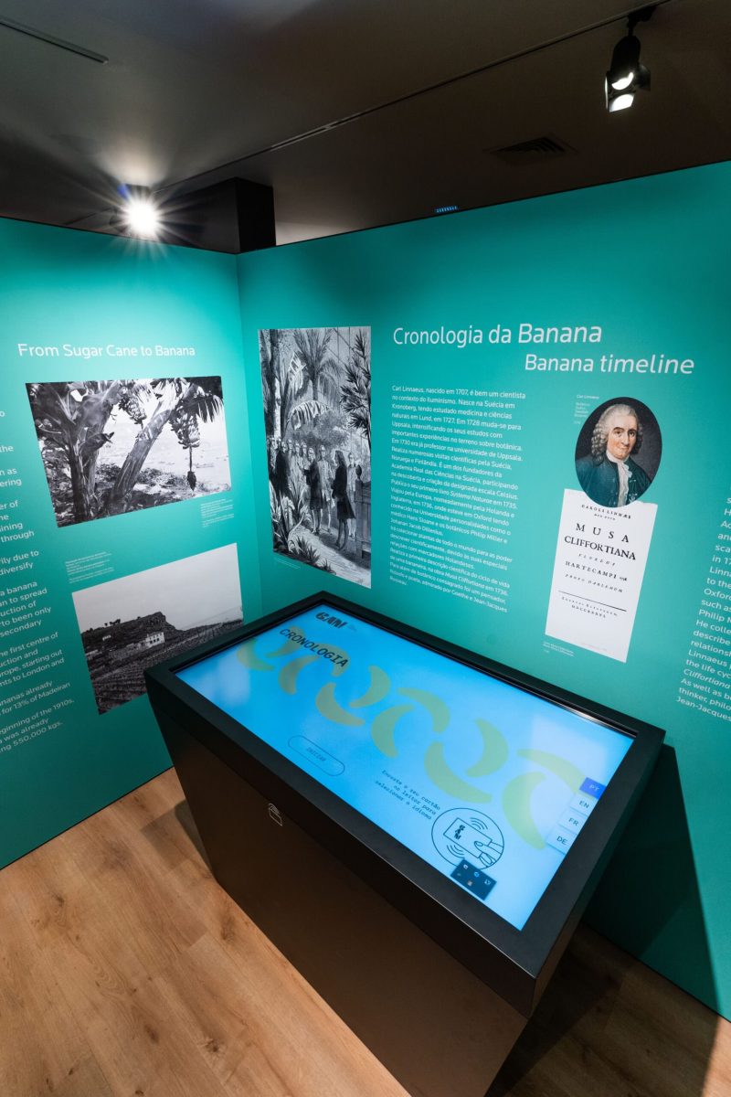 BAM | Centro da Banana da Madeira