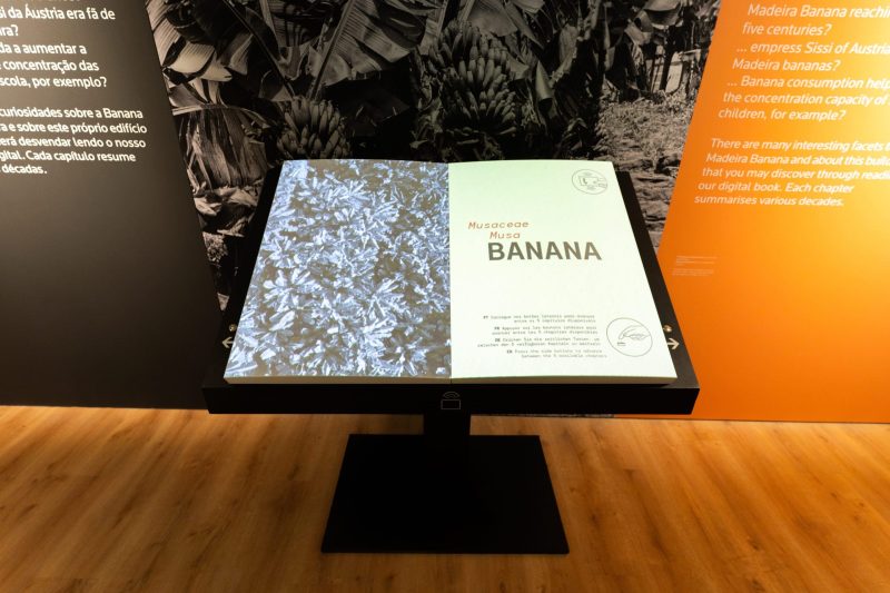 BAM | Centro da Banana da Madeira — 3