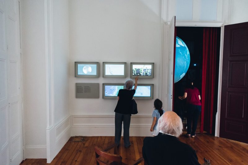 Biodiversity Gallery — 4