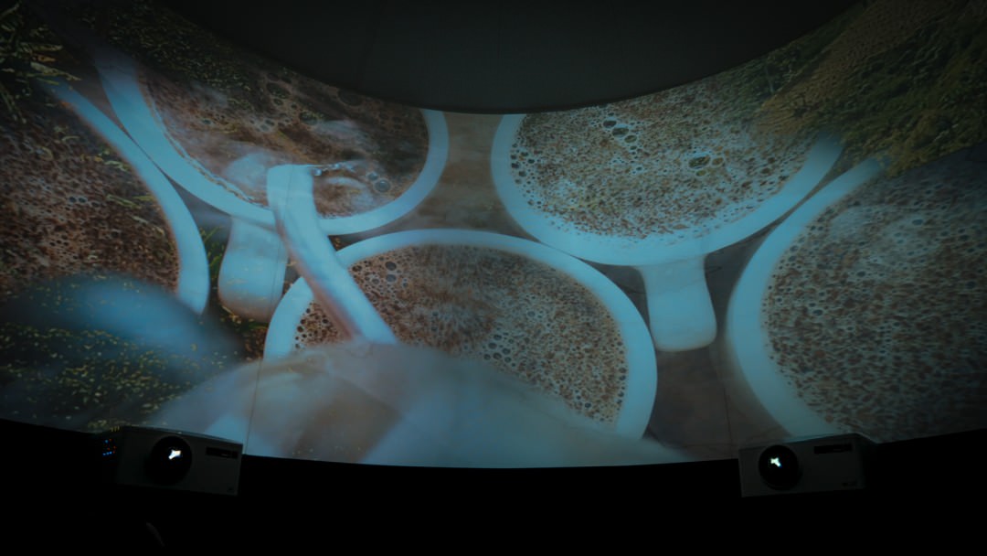 Nespresso | Immersive Capsule