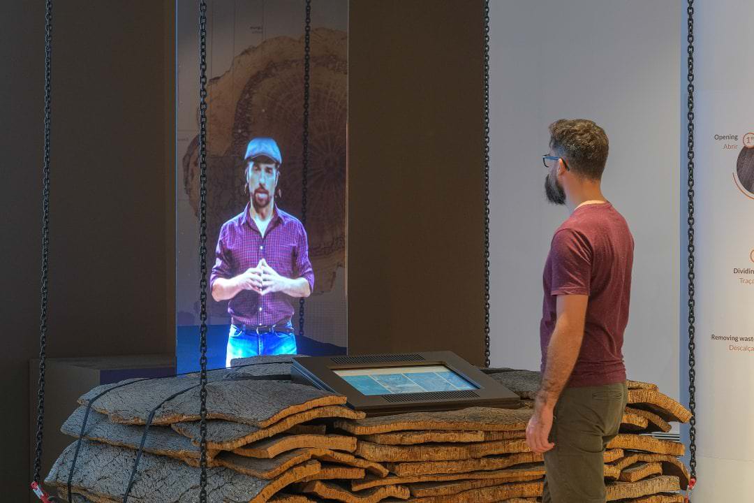 Holograms