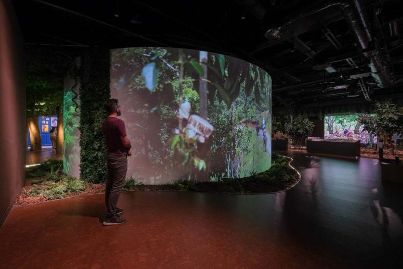 Immersive Experience